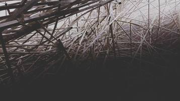 1000 sticks ... © rainer neumüller