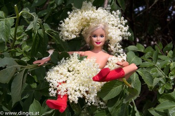 © caren dinges © caren dinges